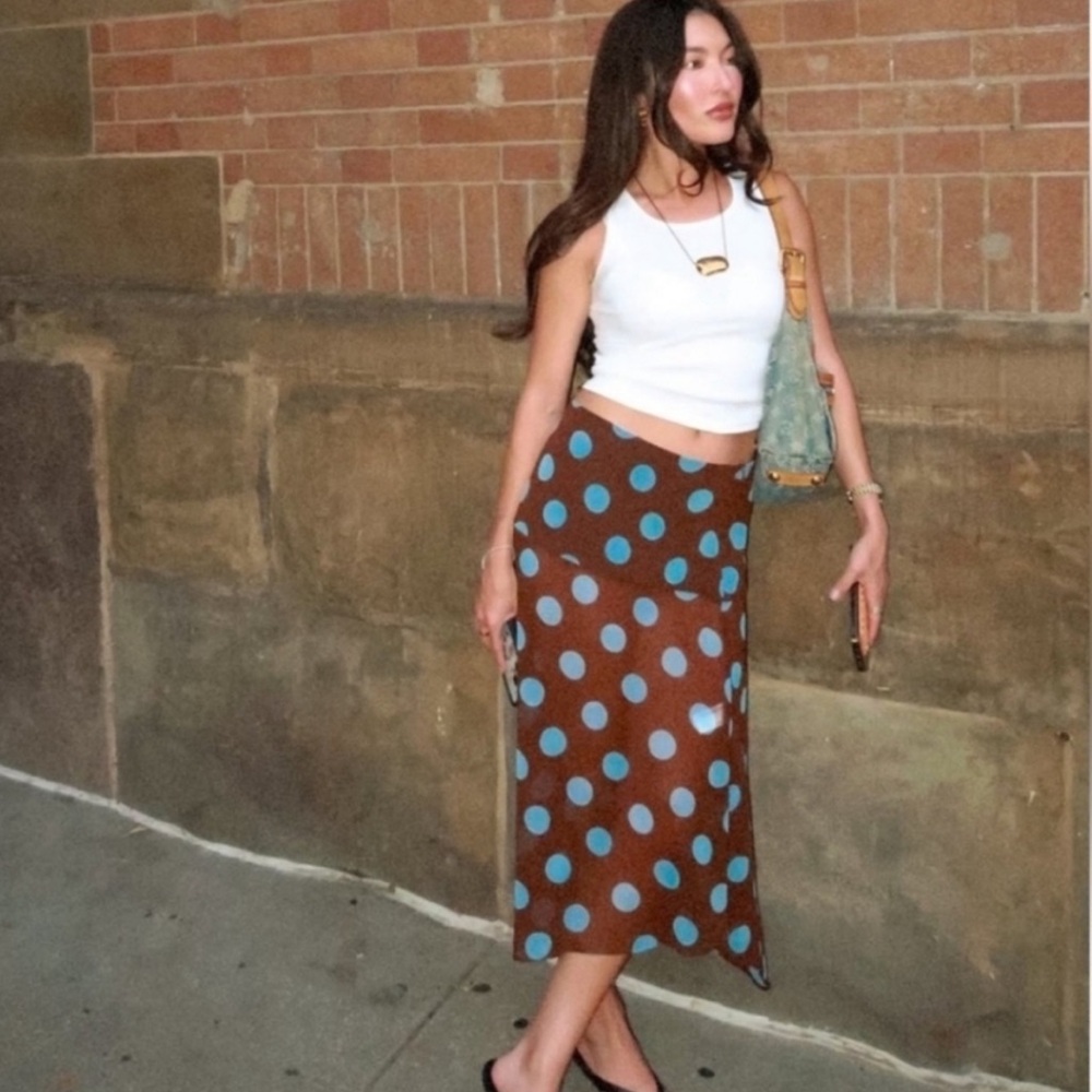Sold Out Zara Brown & Blue Polka Dot Skirt